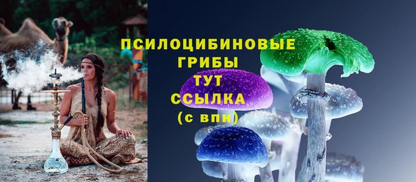 тгк Вязьма