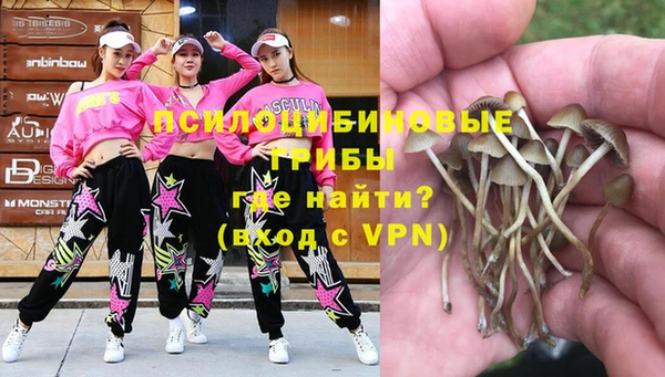прущие крисы Вяземский