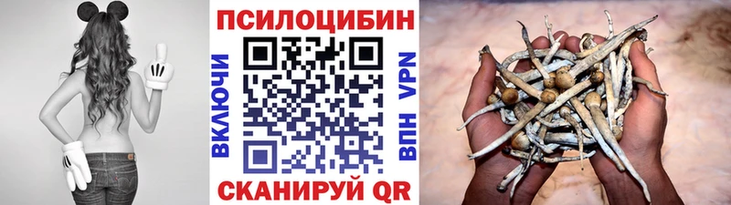 Галлюциногенные грибы мухоморы  Купить закладки  Бирюч 